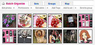 Easily Print Batches of Photos on Flickr 