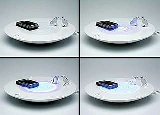 Bird Bath Cell Phone Charger