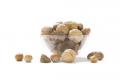 What's Your Favorite Kind of Nut?