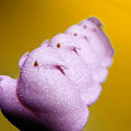 Yummy Links: Peeps Style