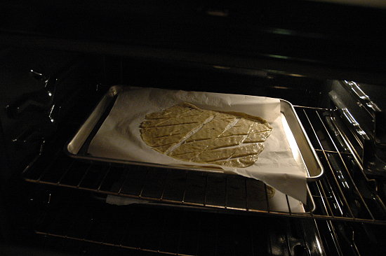 DSC_0225.JPG