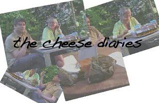 Yummy Link: Alex James' Cheese Diaries