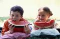 Select the Perfect Watermelon