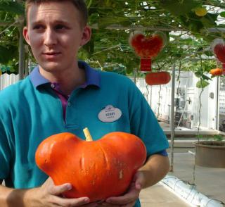 EPCOT's Pumpkins Earn Their Ears 