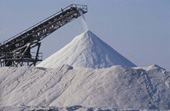 45 Things To Do With Salt