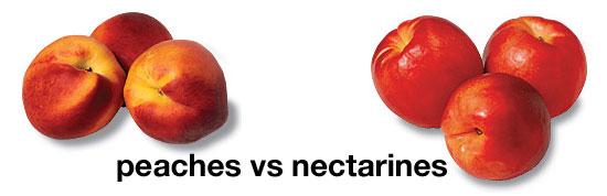 Nectarine Vs Peach