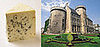 Moldy Cheese or French Château?