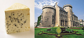 Moldy Cheese or French Château?