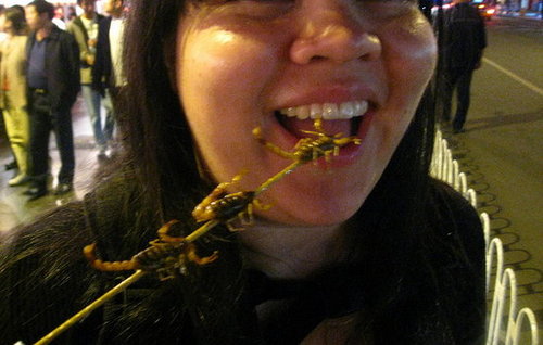 Would You Eat a Scorpion?