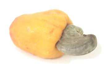 Exotic Fruit of the Day