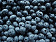 blueberry07's picture