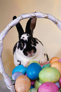 Come Party With Me: Easter - Music