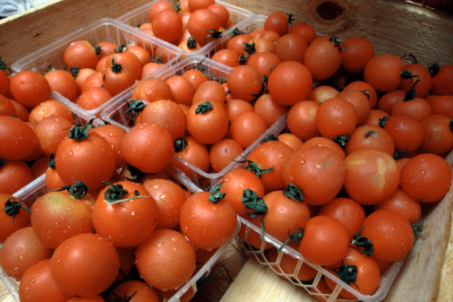 Know Your Tomatoes