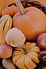 Cut The Cost: Fall Party Centerpieces