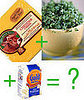 What Would You Make?