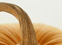 Yummy Link: Halloween Wine Pairings