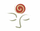 wisdomology