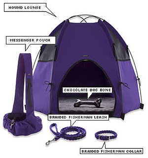 Online Sale Alert for Your Pet! The W Hotel Store