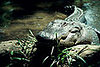 Out and About: Florida's Everglades National Park
