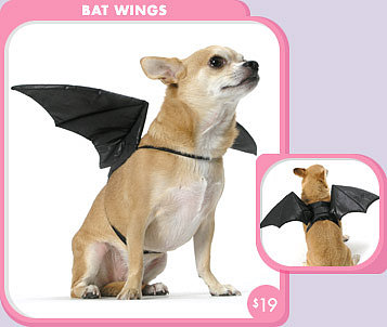 Bat Wings Dog Costume