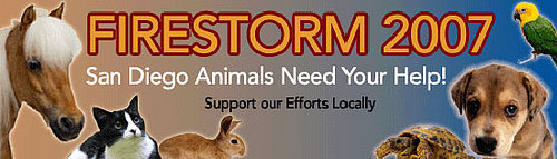To the Rescue: Donating to Charity