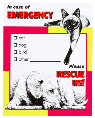 On the Ball: Pet's Emergency Kit