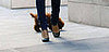 Guess Who?