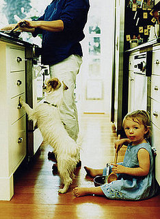 Where Will Your Pets Be This Thanksgiving?