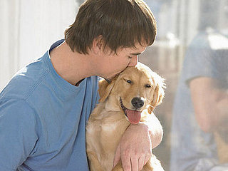 Who Gets More Hugs: Pets or People?
