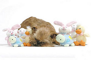 Squeaky Toys for Puppies