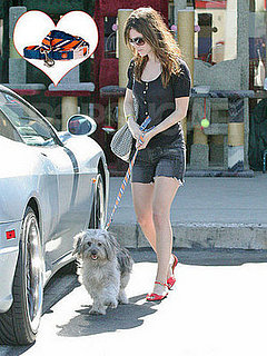 Found! Thurman Murman's Leash!