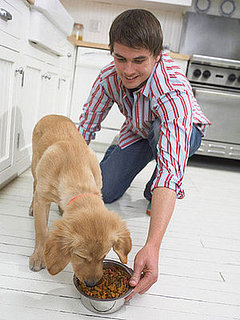 To the Rescue: Counting Calories for Dogs