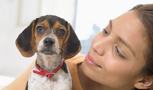 To the Rescue: Choosing a Collar