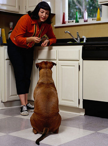T'giving Tip: A Taste Is All It Takes