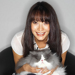 Is Your Pet Overweight?
