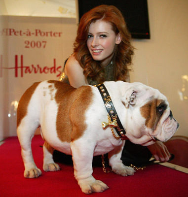 The Scoop: Not the World's Most Expensive Collar