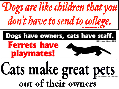 Gag Gift: Bumper Stickers