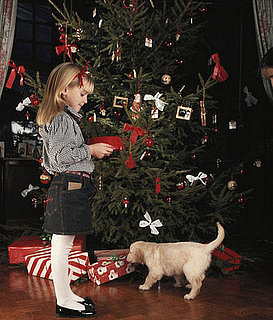 Will Your Pet Get an Extra Treat for the Holidays?