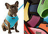 Bare Bones: It's Rein-in Harnesses!