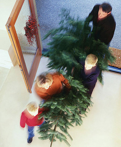 Ten Tips 'Til The Holiday: Choosing a Tree