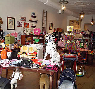 Out and About: Ohio's Posh Pets