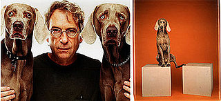 Out and About: Ohio's Wegman Exhibit at the Wexner