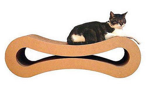 Whose Sweet Kitty Wants to Win?