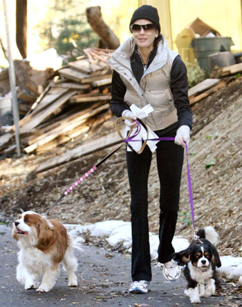 Teri, Klaus, and Pip