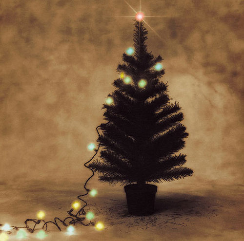 Ten Tips 'Til The Holiday: Christmas Lights