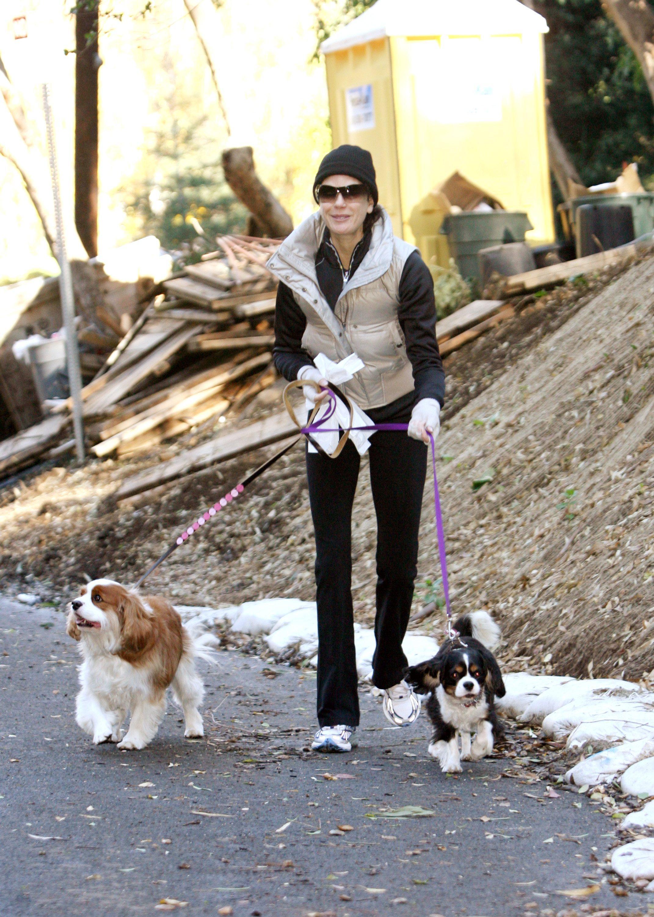 teri hatcher dog walk 091207 teri hatcher dog walk 091207