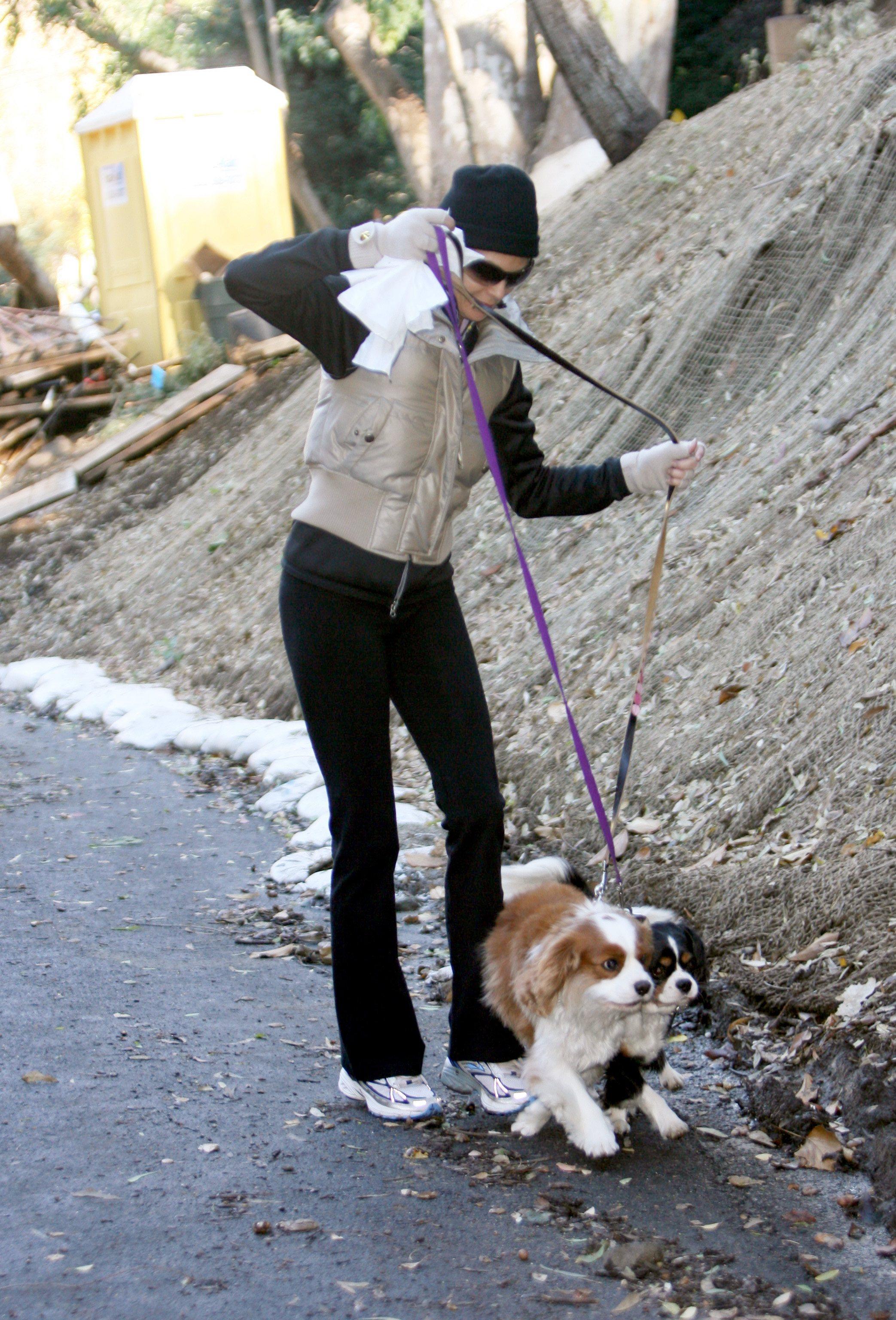 teri hatcher dog walk 091207 teri hatcher dog walk 091207