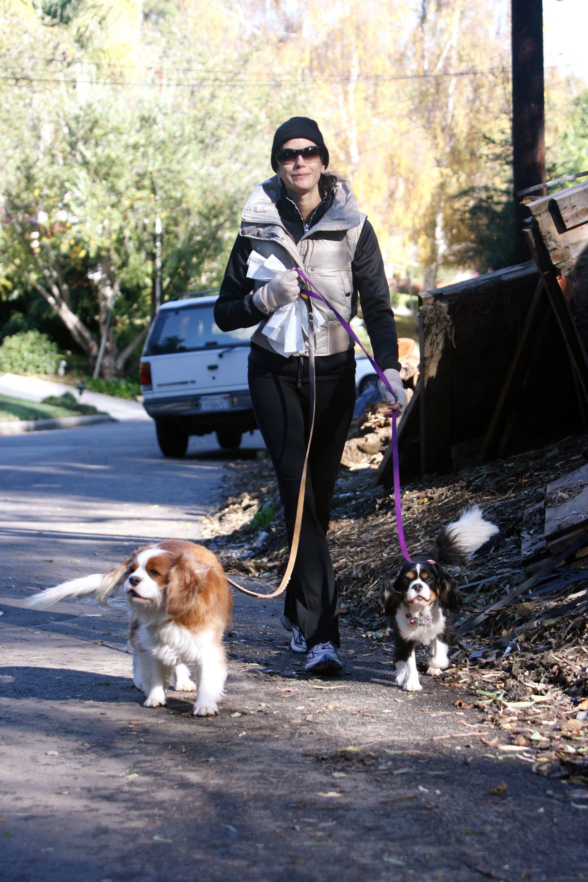 teri hatcher dog walk 091207 teri hatcher dog walk 091207