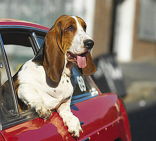 Out and About: New York's Le Parker Meridian