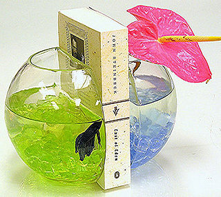 Pet Present Extravaganza: For Fishies